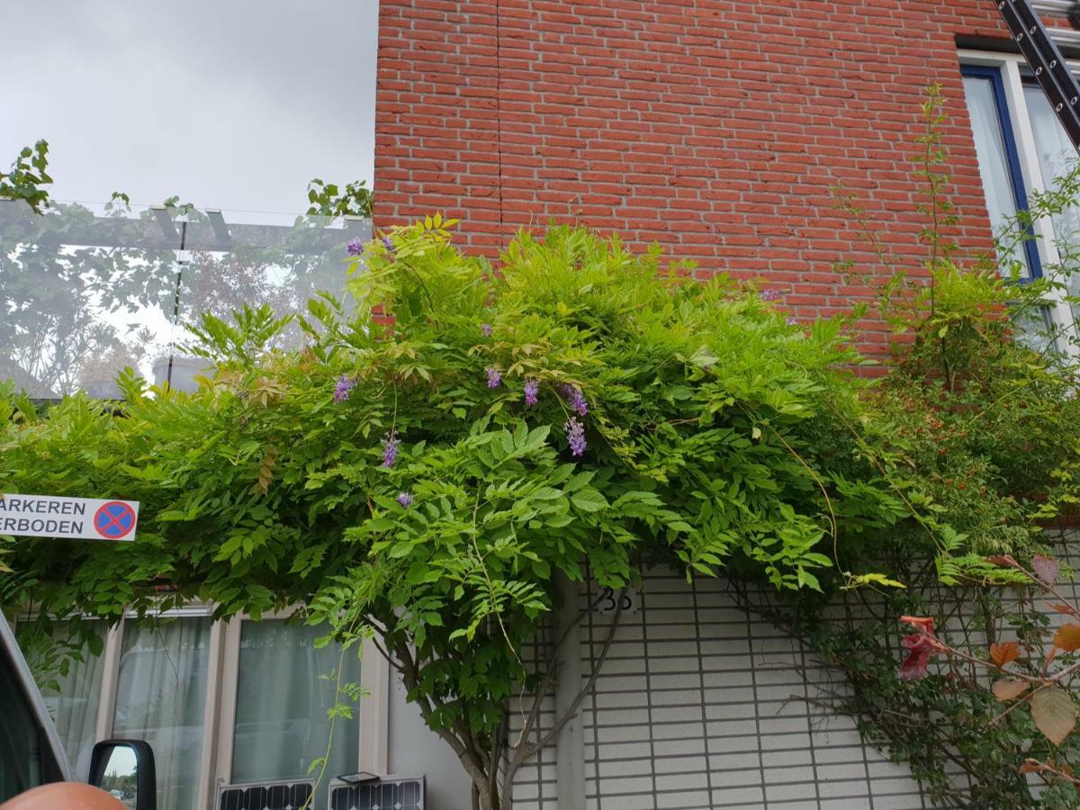 Johan'S B&B, Dakterras & Goedkoop Parkeren - Sinds 2014 อัมสเตอร์ดัม ภายนอก รูปภาพ